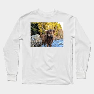 Scottish Highland Cattle Cow 2328 Long Sleeve T-Shirt